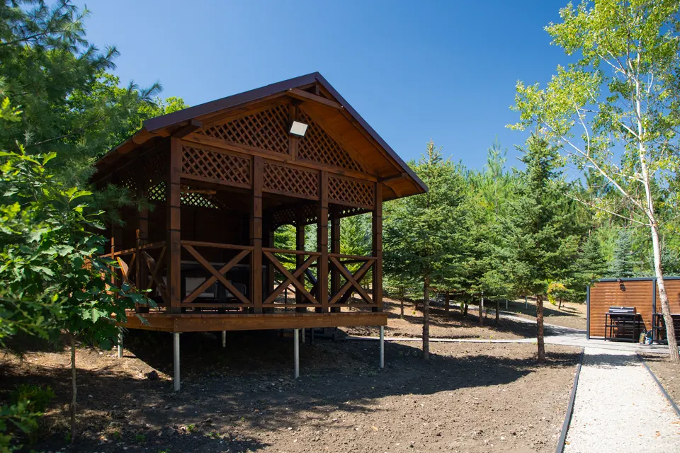 Foișor din lemn DendroPark, înconjurat de conifere și mesteceni